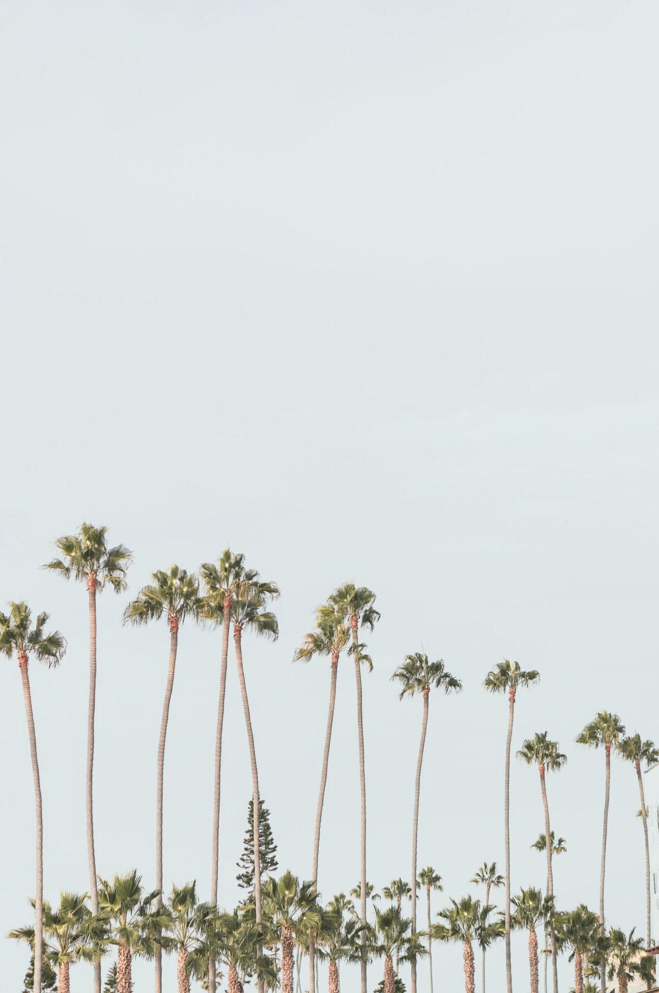 SAVE_20230605_173633